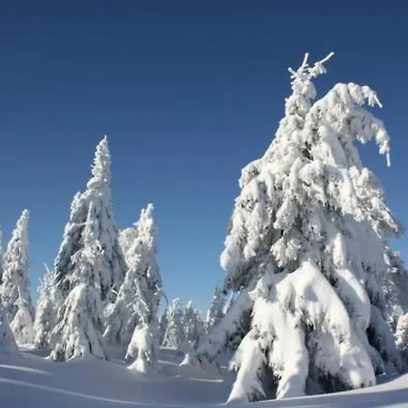 Lägenhet Silberglanz By Interhome