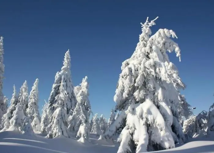 شقة Silberglanz By Interhome